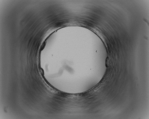 X0000091301195200708311330