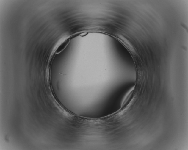 X0000091301196200708311330