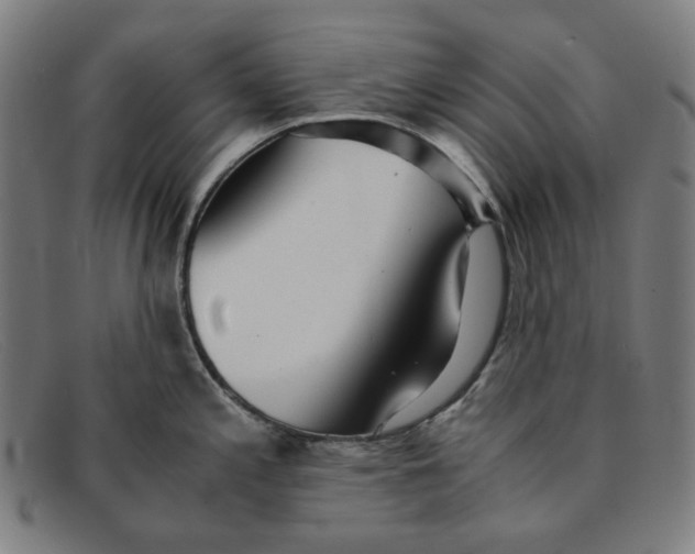 X0000091301197200708311330