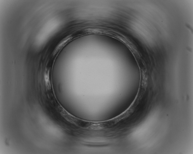 X0000091301198200708311330