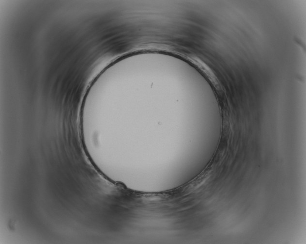 X0000091301199200708311330