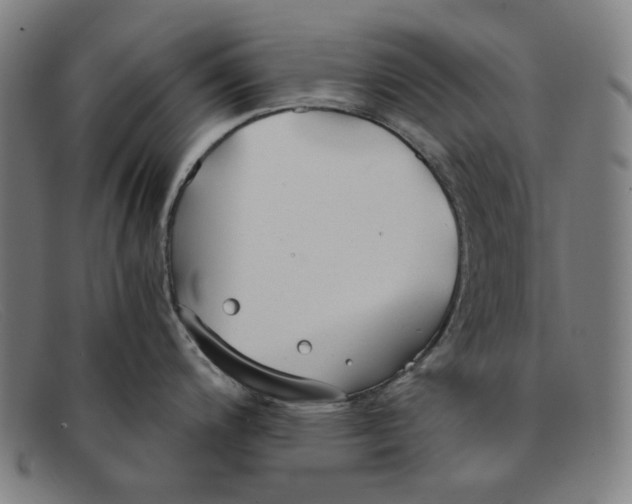 X0000091301200200708311330