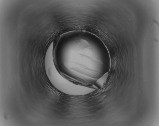 X0000091301202200708311330