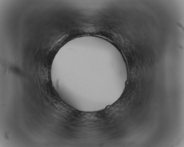 X0000091301205200708311330