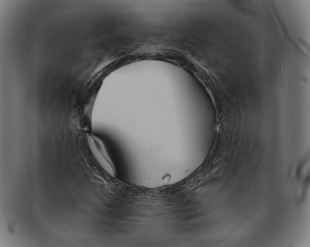 X0000091301206200708311330