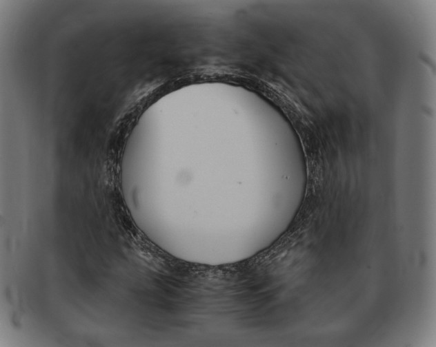 X0000091301207200708311330