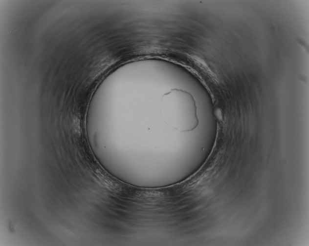 X0000091301209200708311330