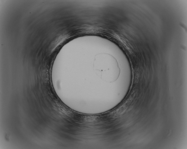 X0000091301211200708311330