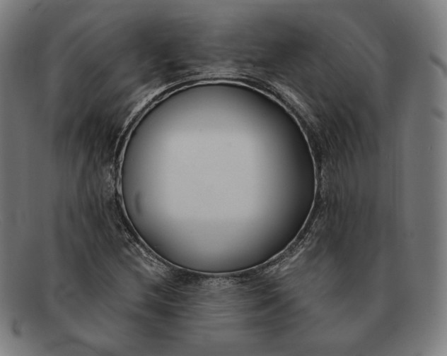 X0000091301212200708311330