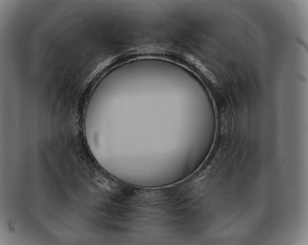 X0000091301213200708311330