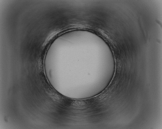 X0000091301215200708311330