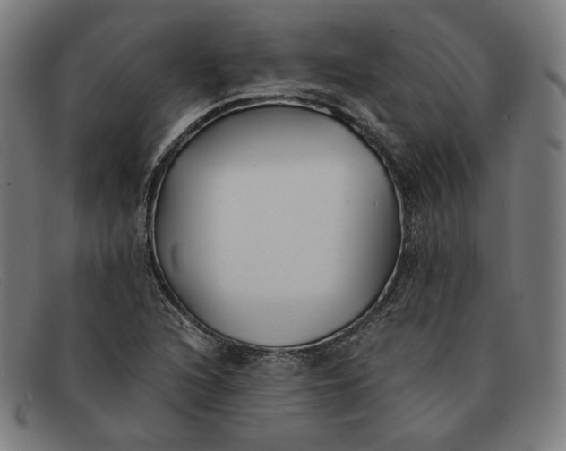 X0000091301216200708311330