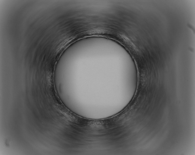 X0000091301217200708311330