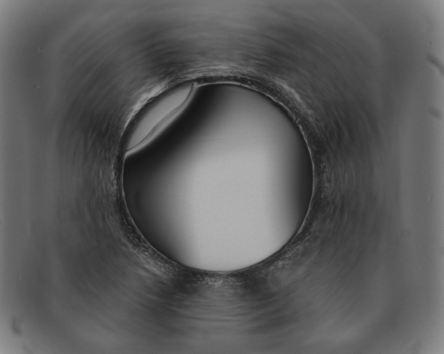 X0000091301218200708311330