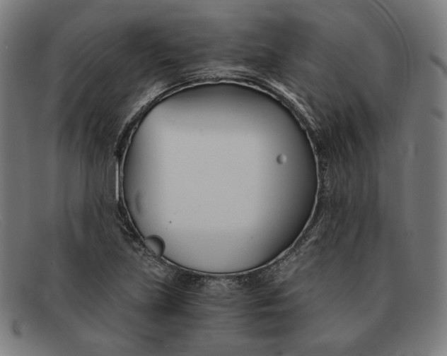 X0000091301219200708311330