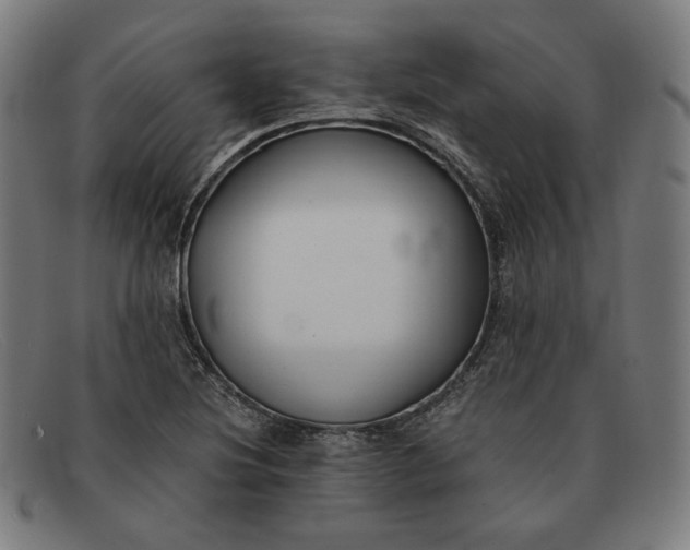 X0000091301220200708311330