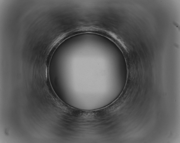 X0000091301221200708311330