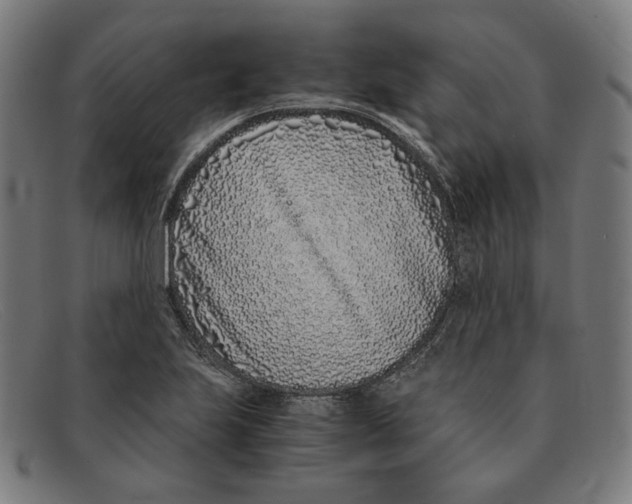 X0000091301223200708311330