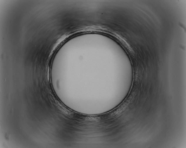 X0000091301224200708311330