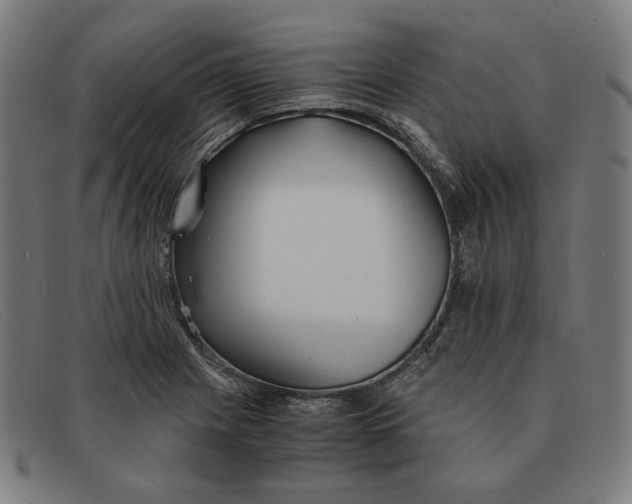 X0000091301225200708311330