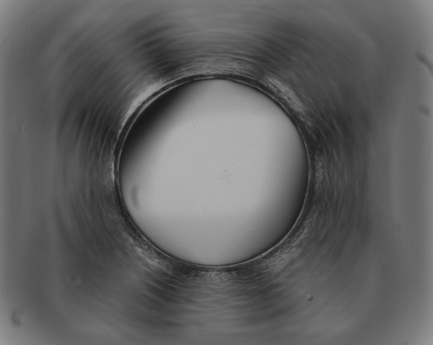 X0000091301226200708311330