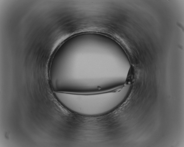 X0000091301230200708311330