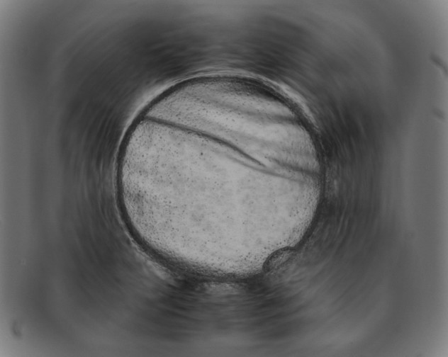 X0000091301231200708311330