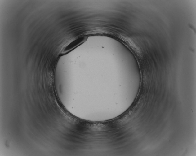 X0000091301233200708311330