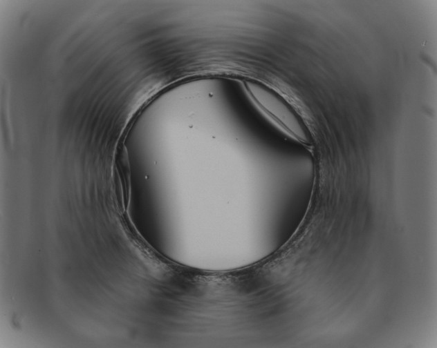 X0000091301234200708311330