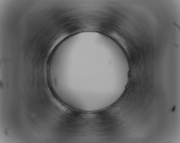 X0000091301235200708311330