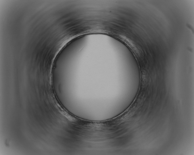 X0000091301236200708311330