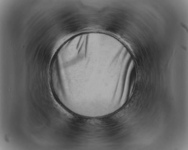 X0000091301239200708311330