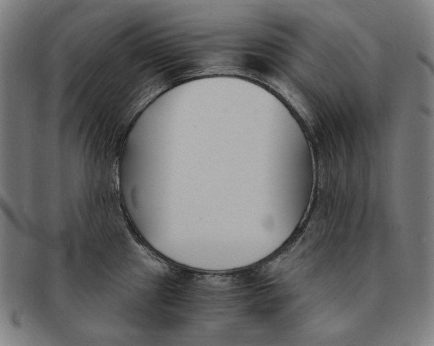 X0000091301241200708311330