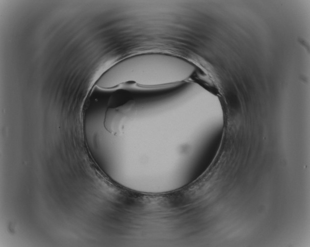 X0000091301242200708311330