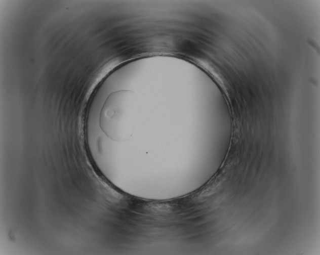 X0000091301243200708311330