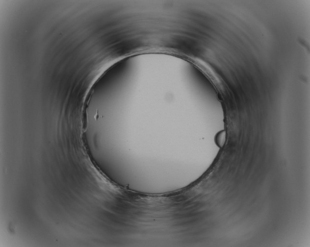 X0000091301244200708311330