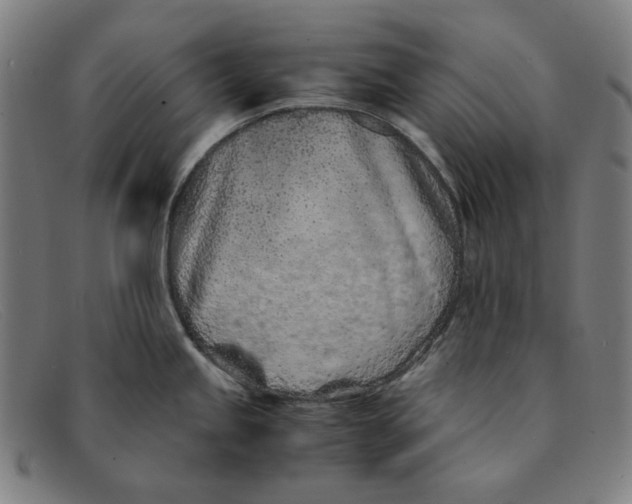 X0000091301245200708311330