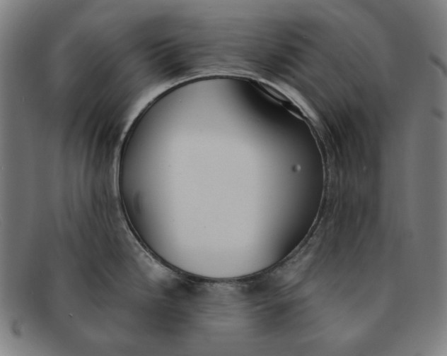 X0000091301246200708311330