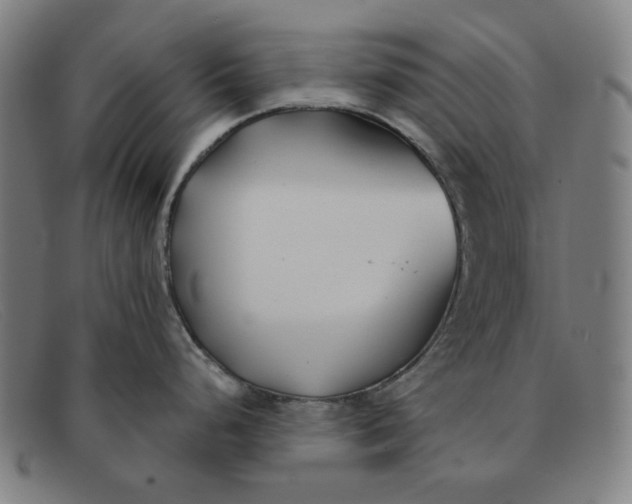 X0000091301248200708311330