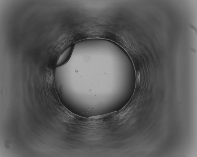 X0000091301251200708311330