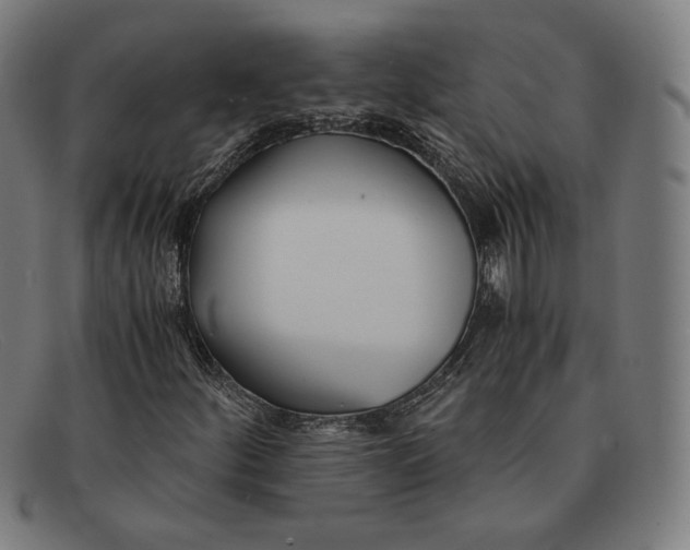 X0000091301252200708311330