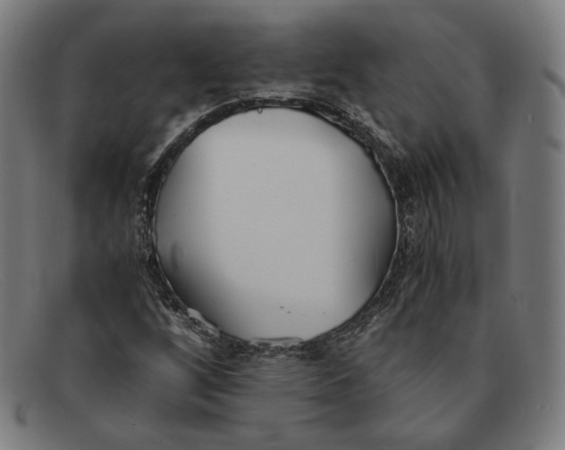 X0000091301256200708311330