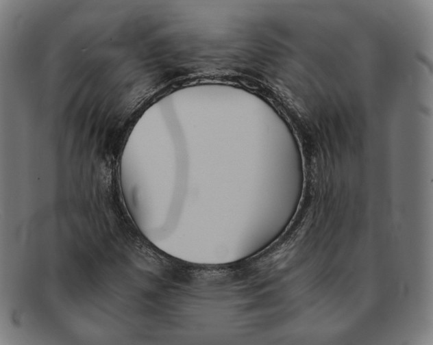 X0000091301257200708311330