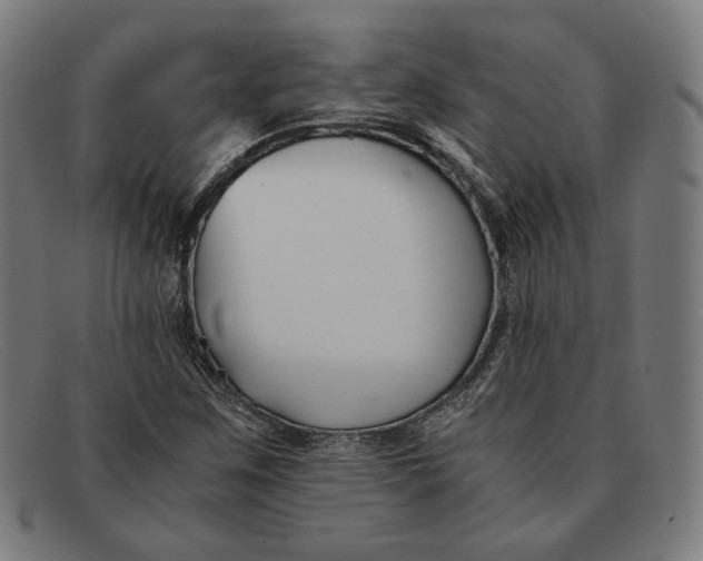 X0000091301259200708311330