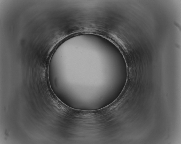 X0000091301260200708311330