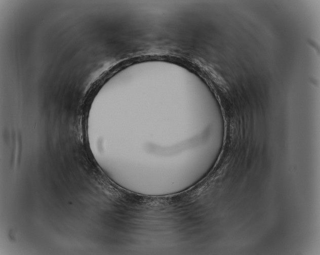 X0000091301262200708311330