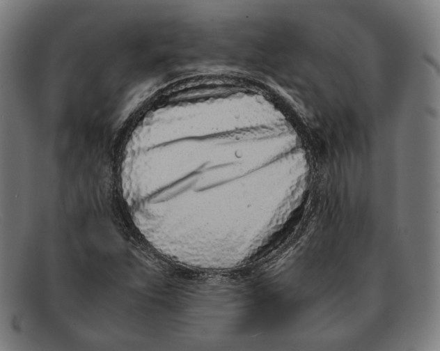 X0000091301263200708311330