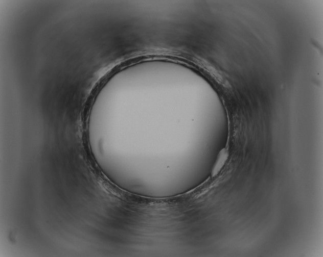 X0000091301264200708311330