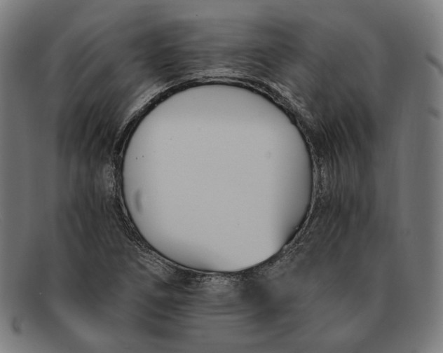 X0000091301266200708311330