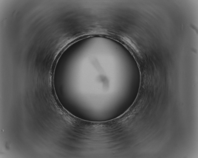 X0000091301268200708311330